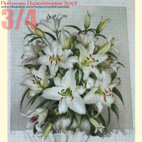 Вышивка - ткань: Лугана 25 ct, техника: петит-полукрест<br>Автор вышивки: Елена Ветрова (Elena_V)<br>Программа Первоотшивов 2017, приз 3/4 работы