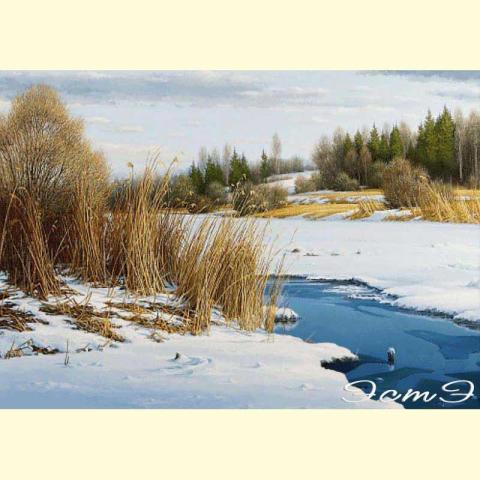 Скрин - компьютерное изображение схемы вышивки