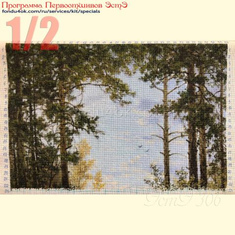 Вышивка  - ткань: Страмин-Конгресс 24 ct, техника: петит/полукрест <br>Автор вышивки: Инна Демиденко<br>Программа Первоотшивов 2021, приз 1/2 работы