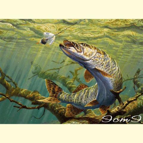 Скрин - компьютерное изображение схемы вышивки