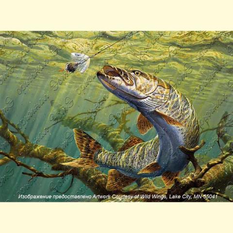 Оригинал схемы - отредактированная репродукция картины