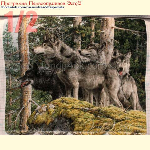 Вышивка - ткань: Лугана 25 ct, техника: петит-полукрест<br>Автор вышивки: Кремез Злата (zlataya)<br>Программа Первоотшивов 2022, приз 1/2 работы