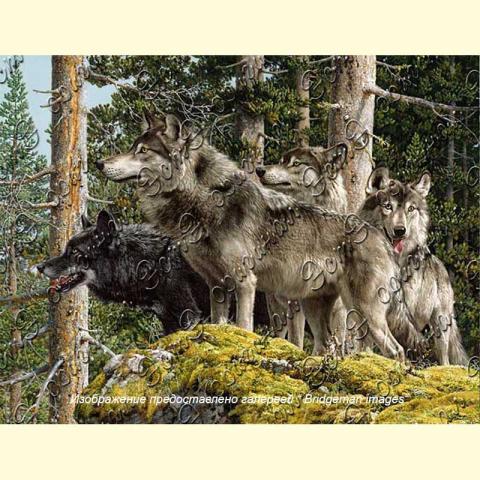 Оригинал схемы - отредактированная репродукция картины