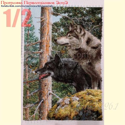 Вышивка - ткань: Аида 18ct, техника: крестик в 2 нитки<br>Автор вышивки: Данчинова Ирина (Зауралочка)<br>Программа Первоотшивов 2022, приз 1/2 работы