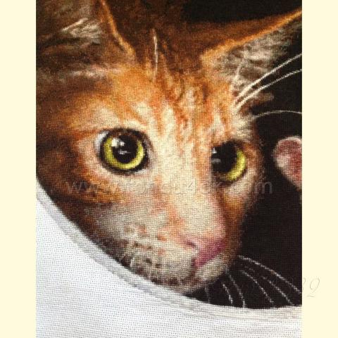 Вышивка - ткань: Аида 20 ct, техника: крестик в 2 нитки<br>Автор вышивки: Любовь Пшеничникова (pshenichka63)