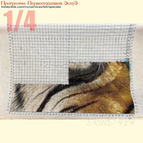 Вышивка - ткань: Конгресс Страмин 24 ct, техника: петит/полукрест <br>Автор вышивки: Резеда Сабитова<br>Программа Первоотшивов 2022, приз 1/4 работы