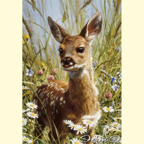 Скрин - компьютерное изображение схемы вышивки