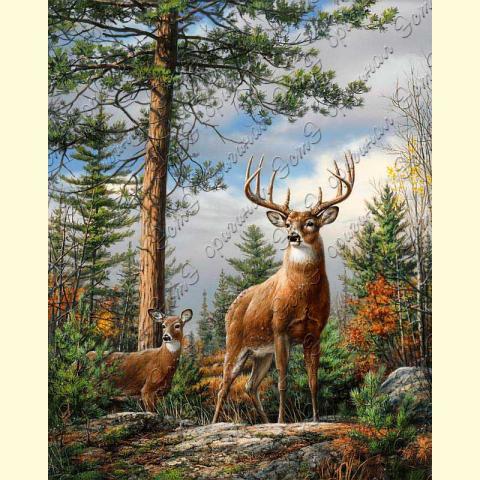 Оригинал схемы - отредактированная репродукция картины