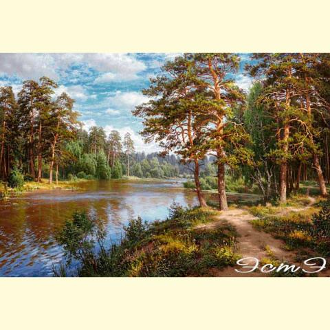 Скрин - компьютерное изображение схемы вышивки