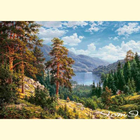 Скрин - компьютерное изображение схемы вышивки