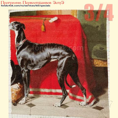 Вышивка - ткань: равомерка DMC 25 ct, техника: петит-полукрест <br>Автор вышивки: Юлия Удодова (englove)<br>Программа Первоотшивов 2025, приз 3/4 работы