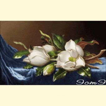 066  Giant Magnolias on a Blue Velvet Cloth