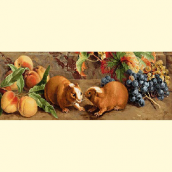 235.1 Still Life with Guinea Pigs (f) - pattern
