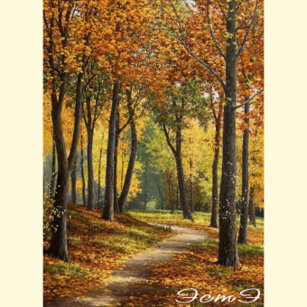 175* Path in the Autumn Park