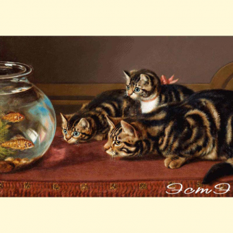 092 Cats by a fishbowl