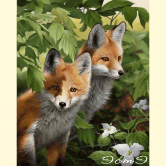 433 Fox cubs