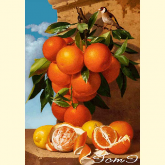 457 Апельсиновый Рай