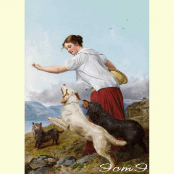 505 Walking with pets