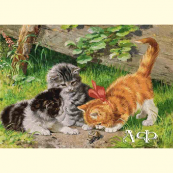 1037 Kittens and a snail