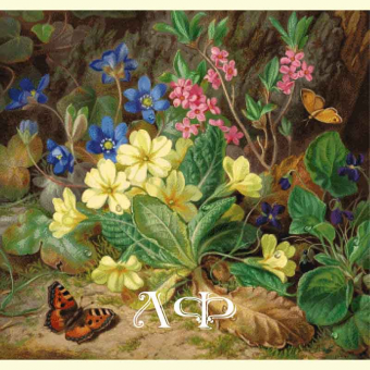 1041 Forest flowers and butterflies