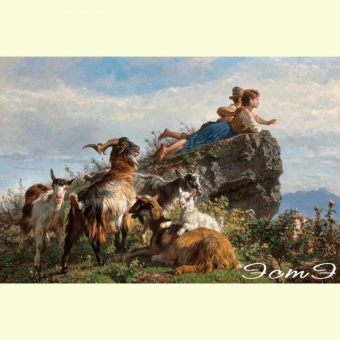 526 Little Shepherds