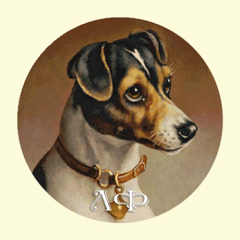 1044 Jack Russell Terrier