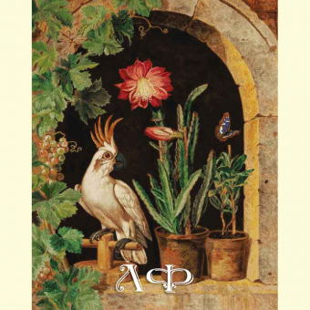 1045 A parrot, a flowering cactus and a butterfly
